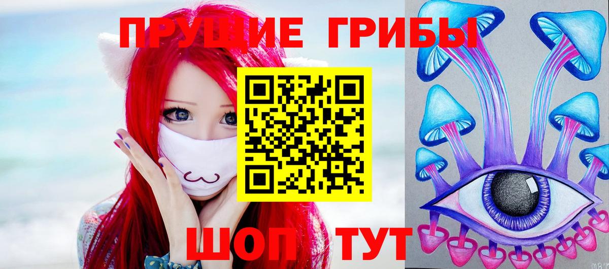 Карталы  Псилоцибиновые грибы Psilocybe  Вход с VPN 