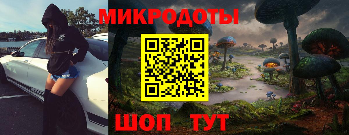 Псилоцибиновые грибы Psilocybe Карталы